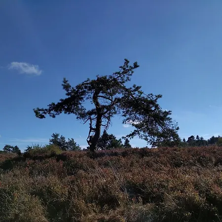 Διαμέρισμα Ambiente-schmidt