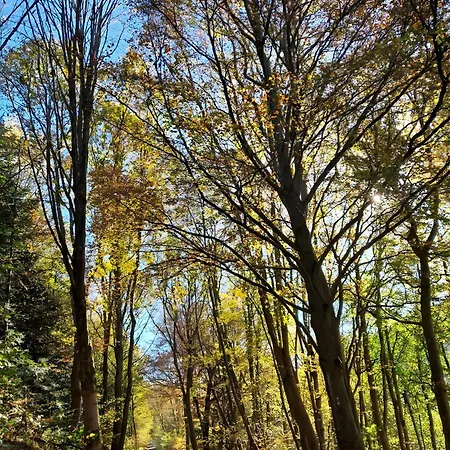 Διαμέρισμα Ambiente-schmidt *