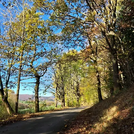 Διαμέρισμα Ambiente-schmidt *