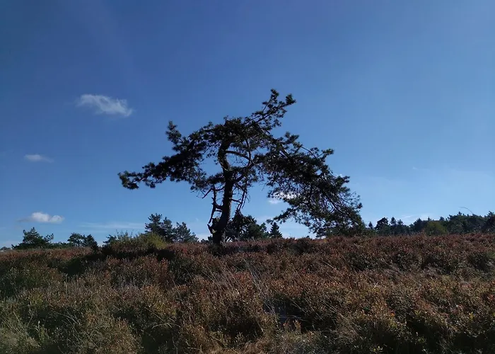 公寓 Ambiente-schmidt