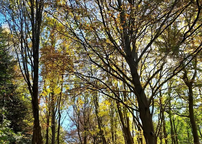 公寓 Ambiente-schmidt *