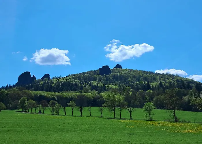 Ambiente-schmidt 公寓 奥尔斯贝格