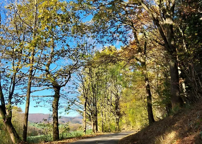 公寓 Ambiente-schmidt *