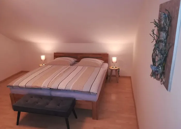 Ambiente-schmidt 公寓 *